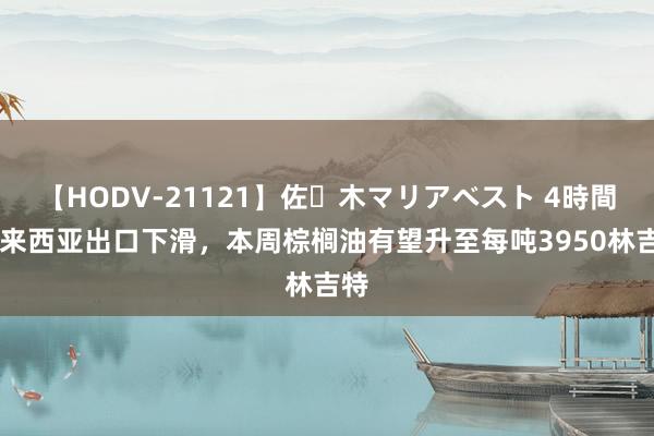 【HODV-21121】佐々木マリアベスト 4時間 马来西亚出口下滑，本周棕榈油有望升至每吨3950林吉特