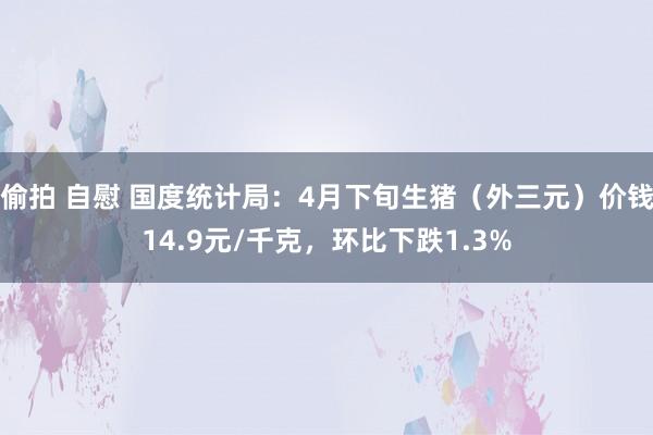 偷拍 自慰 国度统计局：4月下旬生猪（外三元）价钱14.9元/千克，环比下跌1.3%