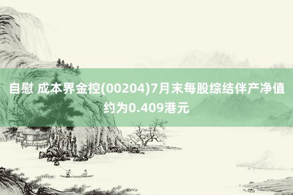 自慰 成本界金控(00204)7月末每股综结伴产净值约为0.409港元